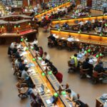 Evolution auf den Kopf gestellt – Kultur schlägt Gene