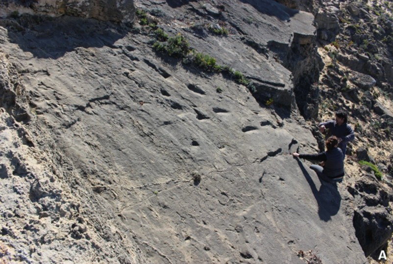 Blick auf die Klippen am Strand von Monte Clérigo: In den Dünenablagerungen entdeckten Forscher die gut erhaltenen Fußspuren von Neandertalern. © Studie