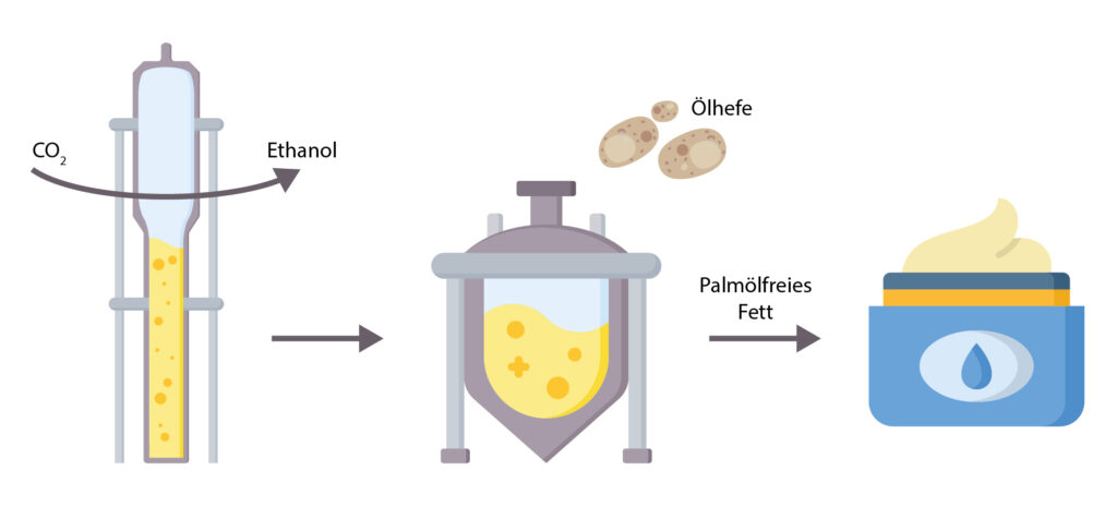 Biotechnologischer Prozess in zwei Schritten: Aus CO2 wird über Mikroben und Hefen ein palmölfreies Fett hergestellt. © Fraunhofer IGB