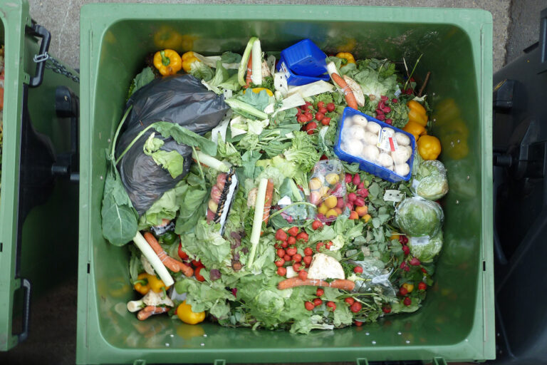 Klimafolgen durch Lebensmittelverschwendung – das ist der Preis