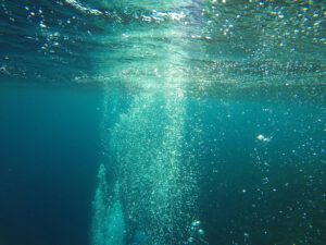 Eisen im Ozean: Fehlt dieses Element, kippt die CO2-Bindung