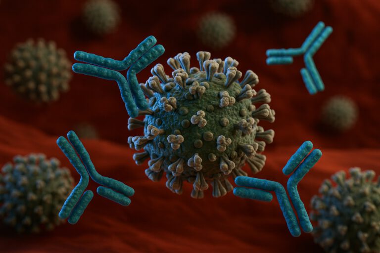 Universelle Grippe-Therapie? Neuartiger Antikörper-Cocktail wirkt