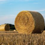 Landwirtschaft KI