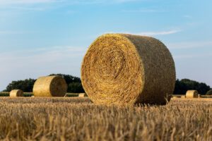 Landwirtschaft KI