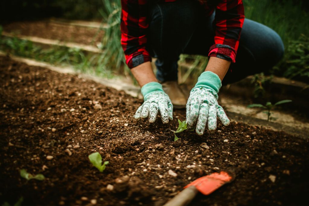Sie werden übersehen – Mikroorganismen fehlen im Naturschutz