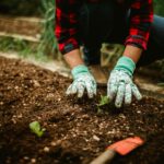 Sie werden übersehen – Mikroorganismen fehlen im Naturschutz