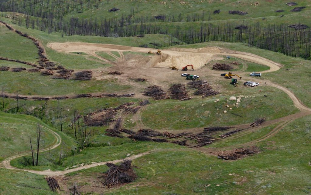Zwischen Holzstapeln und schweren Maschinen entsteht ein neues Kapitel des Klimaschutzes – Mast Reforestation legt hier Gruben an, in denen Holz künftig CO2 speichern soll. © Mast Reforestation