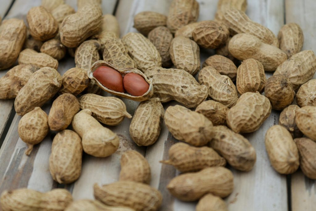 So sinkt das Risiko für Erdnussallergie bei Babys deutlich
