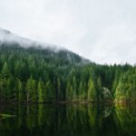 CO2-Schwankungen explodieren – Risiko wird unterschätzt