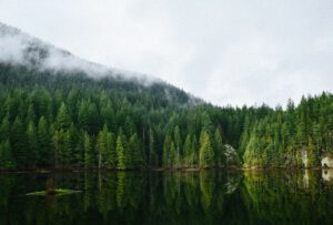 CO2-Schwankungen explodieren – Risiko wird unterschätzt
