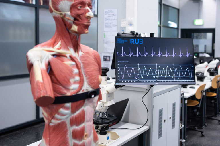 KI reagiert auf Herzfrequenz – so lernt sie das Fühlen