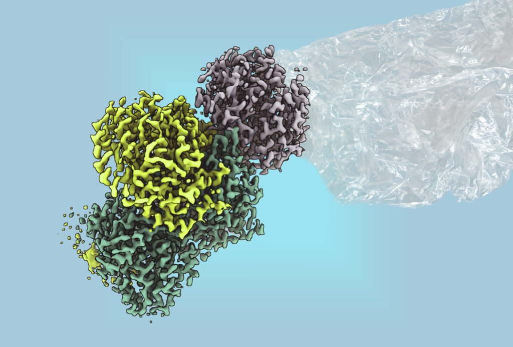 Nachhaltige Kunststoffproduktion: Mikroben machen’s möglich