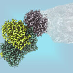 Nachhaltige Kunststoffproduktion: Mikroben machen’s möglich