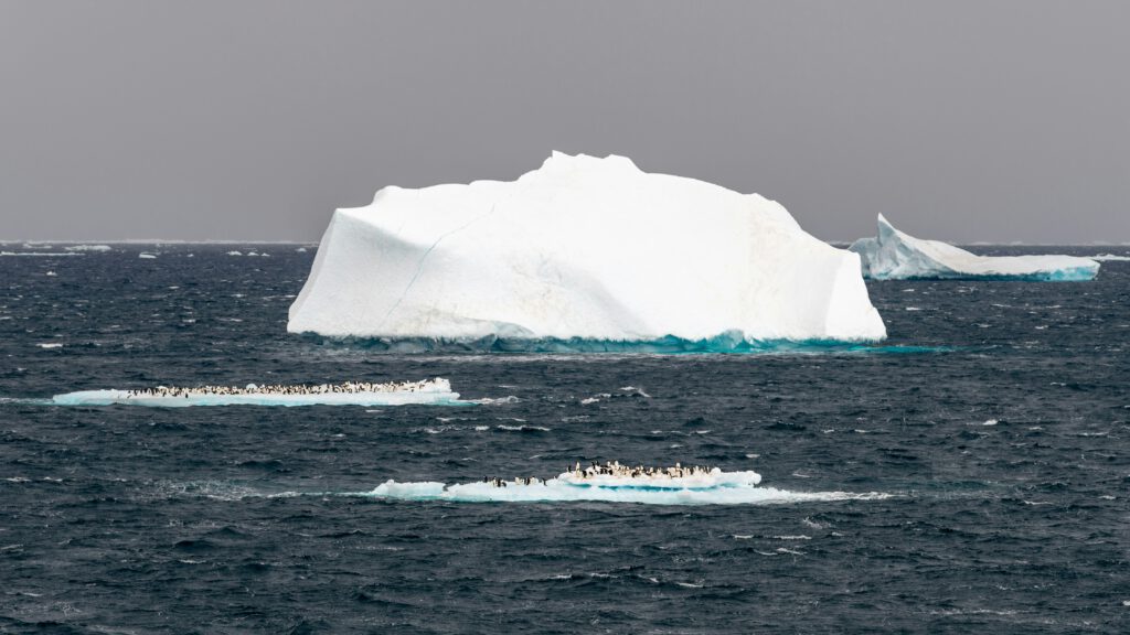 Der Südliche Ozean trotzt Prognosen als CO2-Senke