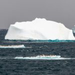 Der Südliche Ozean trotzt Prognosen als CO2-Senke
