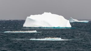Der Südliche Ozean trotzt Prognosen als CO2-Senke