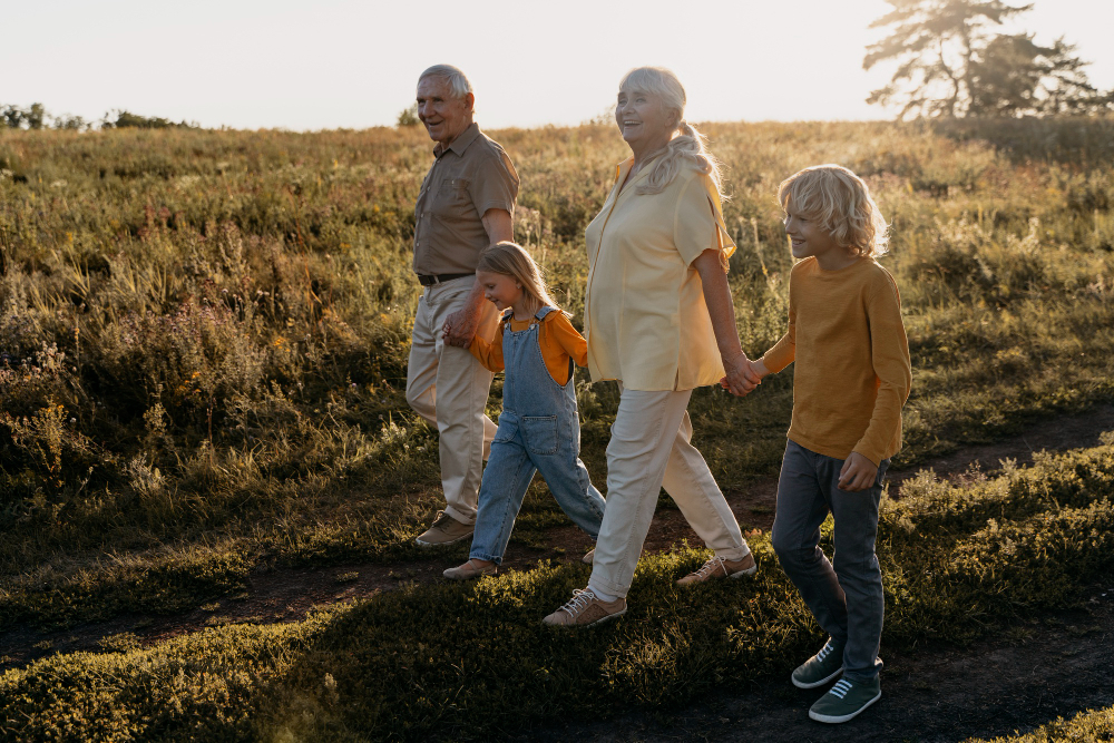 Die Entwicklung des Gehirns: Vier Phasen formen unser Denken