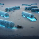 Forscher entdecken neue Bakterien, die Plastik im Ozean fressen