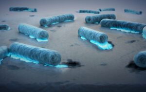 Forscher entdecken neue Bakterien, die Plastik im Ozean fressen