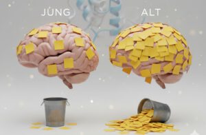 Ernährung bremst Alterung: Mini-Diät stoppt Hirn-Verfall