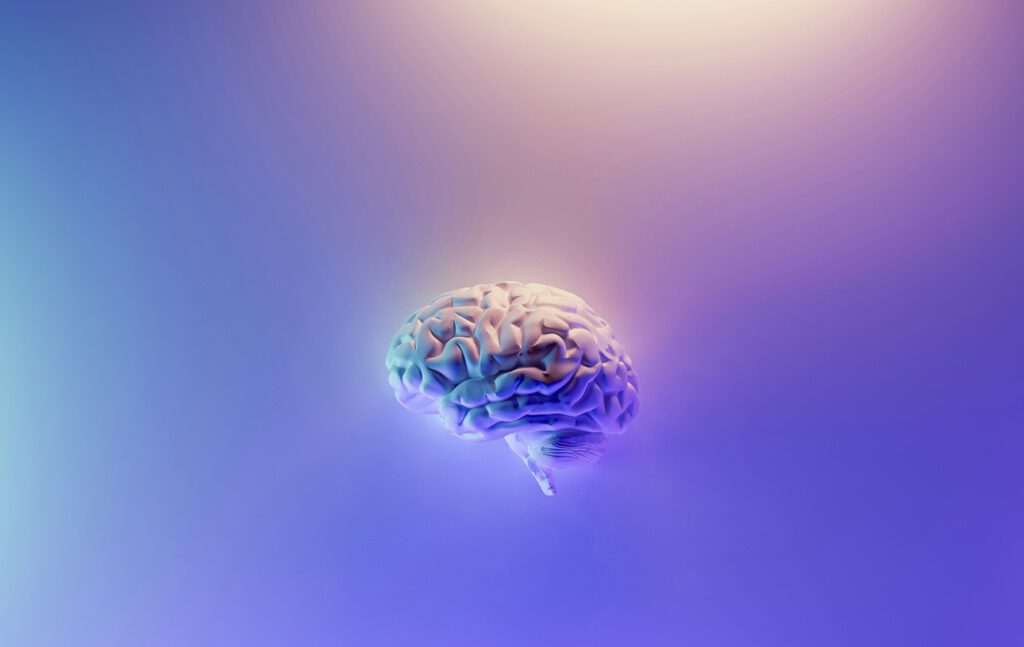 Gehirnrhythmen steuern zwischen Autopilot und Lernmodus