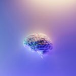 Gehirnrhythmen steuern zwischen Autopilot und Lernmodus