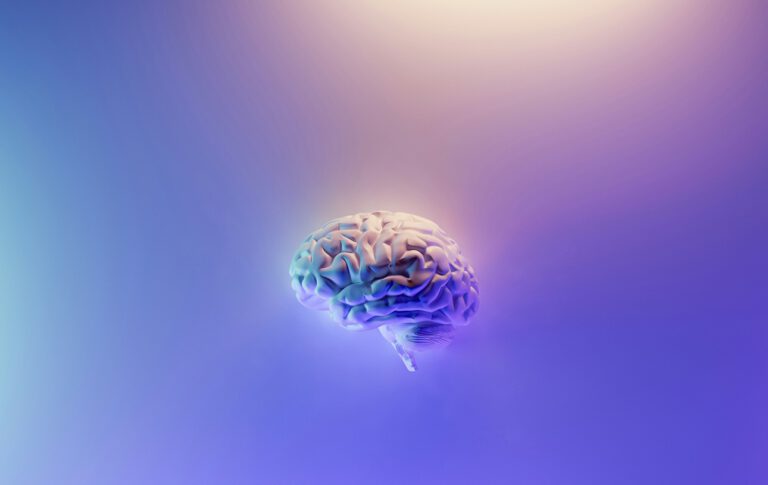 Gehirnrhythmen steuern zwischen Autopilot und Lernmodus