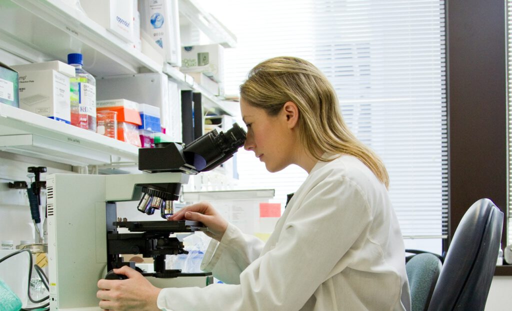 Forscher filmen live, wie Zellen DNA-Schäden reparieren