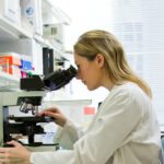 Forscher filmen live, wie Zellen DNA-Schäden reparieren