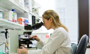 Forscher filmen live, wie Zellen DNA-Schäden reparieren