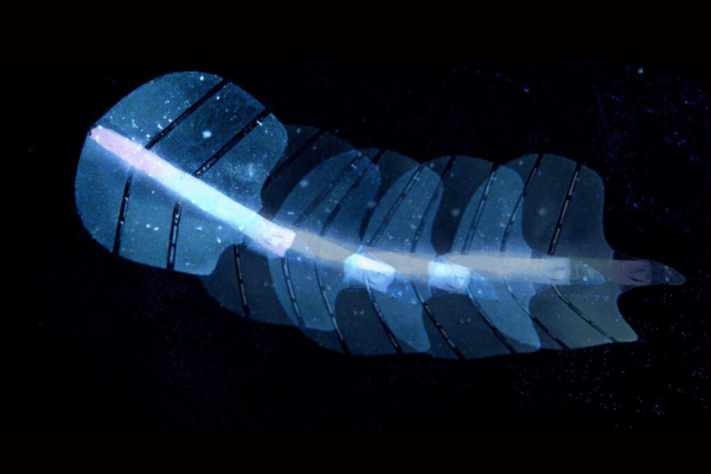 Künstliche Muskeln aus Silikon hören auf Ultraschall-Befehle