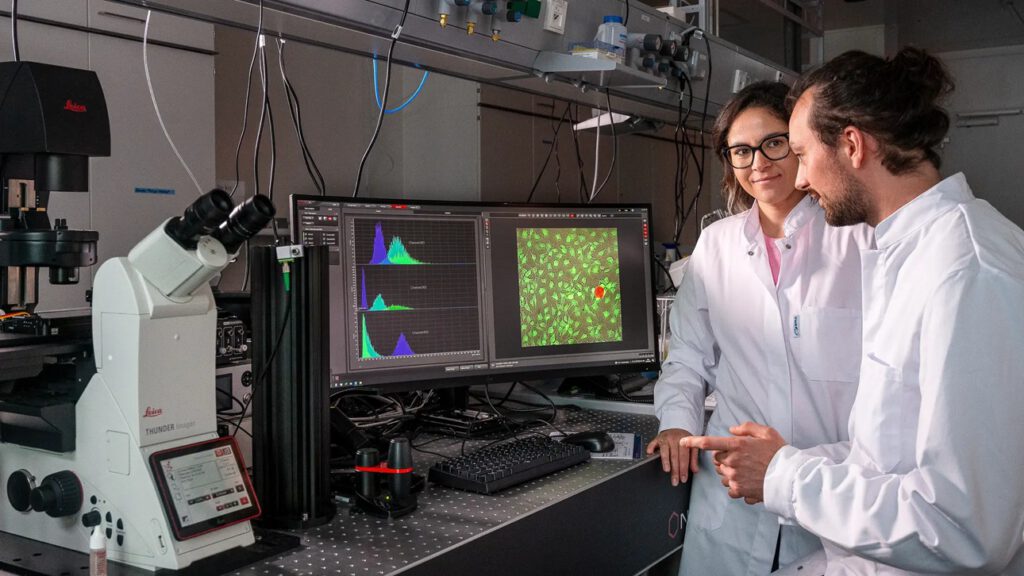 Nanoroboter formen Knochenzellen – Durchbruch aus München