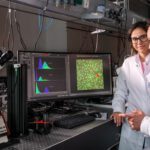 Nanoroboter formen Knochenzellen – Durchbruch aus München