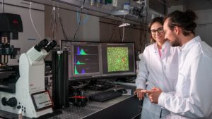 Nanoroboter formen Knochenzellen – Durchbruch aus München