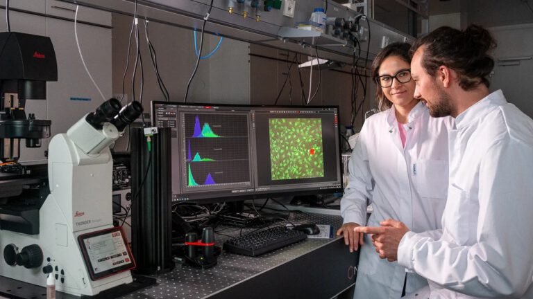 Nanoroboter formen Knochenzellen – Durchbruch aus München