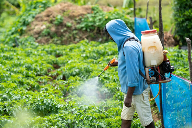 Unfruchtbar durch Pestizide: Obst-Rückstände greifen Spermien an