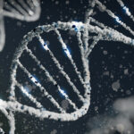 Forscher wecken uraltes Gen – Gentherapie könnte Gicht stoppen