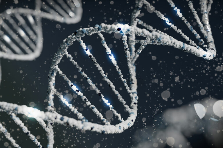 Forscher wecken uraltes Gen – Gentherapie könnte Gicht stoppen