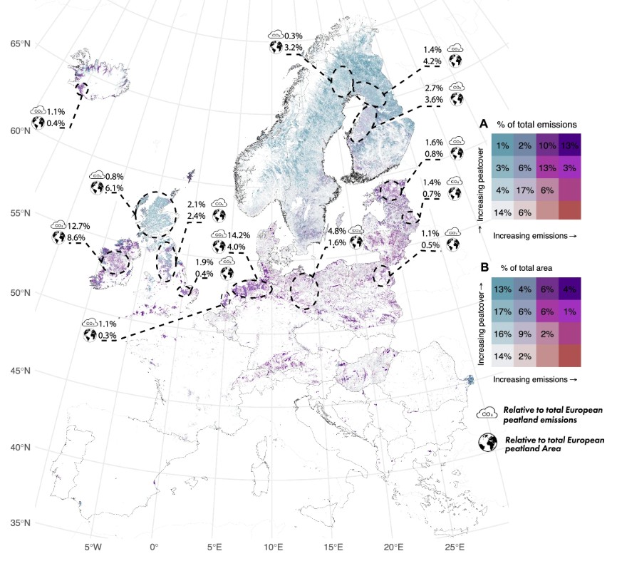 Die Karte zeigt Europa im 1-Quadratkilometer-Raster: Blau markiert Regionen mit viel Moorfläche, Rot besonders hohe Treibhausgas-Emissionen, Violett beides zugleich. Gerade diese Hotspots verursachen einen überproportionalen Anteil der Emissionen aus entwässerten Mooren – rund 40 Prozent bei nur 17 Prozent der Moorfläche in der EU. © Studie