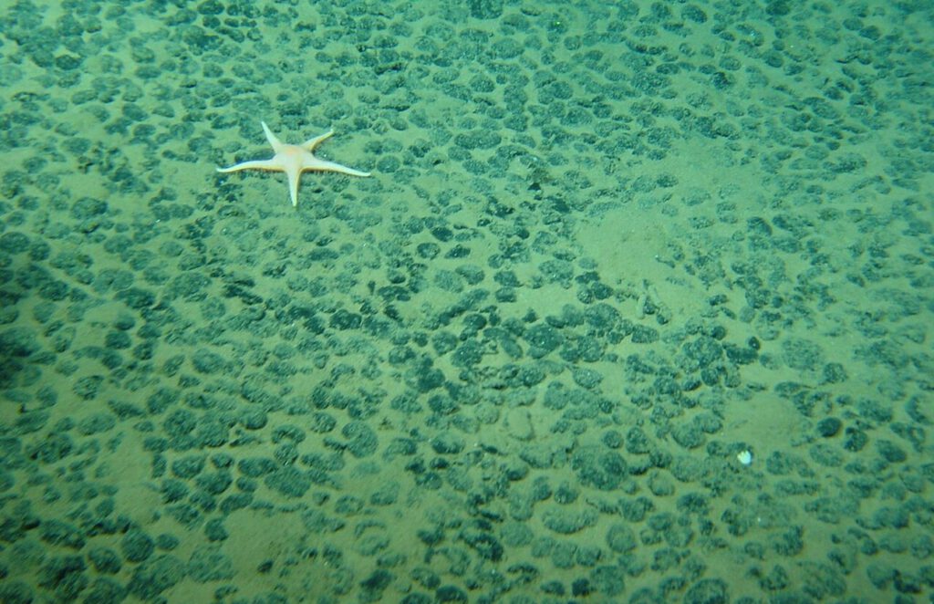 Blick in auf den Meeresboden