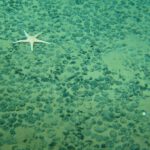 Blick in auf den Meeresboden