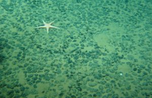 Blick in auf den Meeresboden