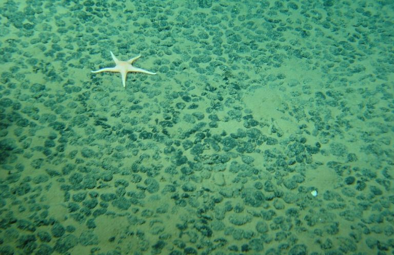 Blick in auf den Meeresboden