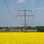 Strommast auf einem Rapsfeld