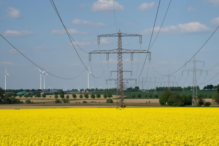 Strommast auf einem Rapsfeld