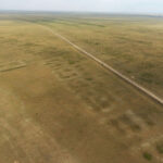 In Kasachstan entdecken Archäologen eine Bronzezeit-Stadt, die älter ist als Troja und frühe Urbanisierung in der Steppe belegt.