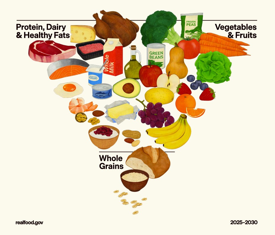 Die neue Ernährungspyramide der USA ordnet um: Fleisch, Fett und Eiweiß stehen nun weiter oben, Brot und Getreide rutschen nach unten. © realfood.gov