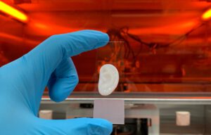 Ohr aus dem Labor der ETH Zürich