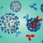 Forscher testen einen HIV-Impfstoff, der mit einem „stillen“ DNA-Gerüst die Abwehr präziser lenkt als frühere Ansätze.