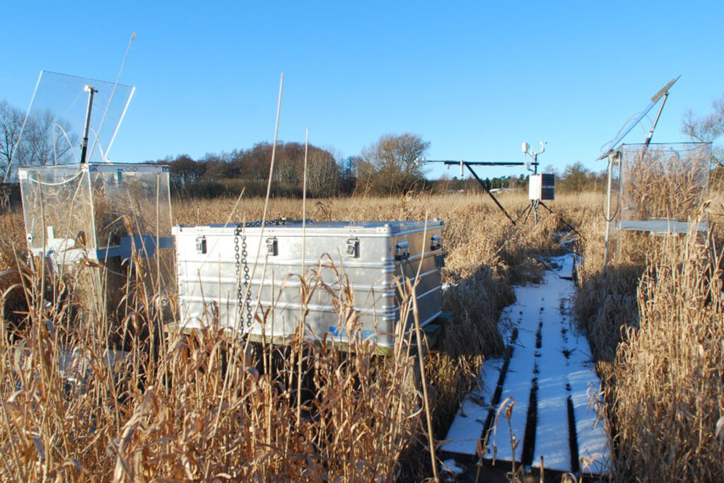 In einem Moor sind verschiedene Messinstrumente augebaut.
